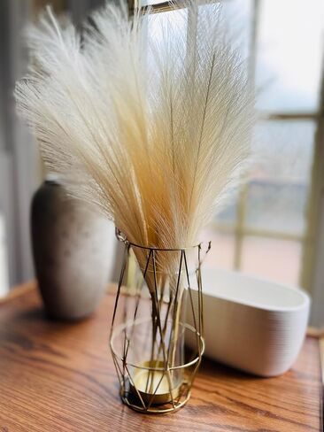r.HOME 6-Pcs 24 in / 61 cm Faux Pampas Grass, 17 in / 43 cm Plume, Tall Fluffy, Silk Artificial No-Shedding for Farmhouse Boho Modern Organic Home Wedding Decor (Natural/Beige) in Saudi Arabia