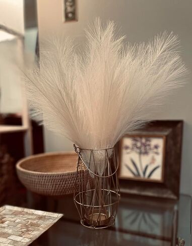 r.HOME 6-Pcs 24 in / 61 cm Faux Pampas Grass, 17 in / 43 cm Plume, Tall Fluffy, Silk Artificial No-Shedding for Farmhouse Boho Modern Organic Home Wedding Decor (Natural/Beige) in Saudi Arabia