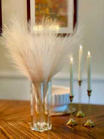 r.HOME 6-Pcs 24 in / 61 cm Faux Pampas Grass, 17 in / 43 cm Plume, Tall Fluffy, Silk Artificial No-Shedding for Farmhouse Boho Modern Organic Home Wedding Decor (Natural/Beige) in Saudi Arabia