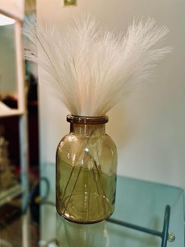 r.HOME 6-Pcs 24 in / 61 cm Faux Pampas Grass, 17 in / 43 cm Plume, Tall Fluffy, Silk Artificial No-Shedding for Farmhouse Boho Modern Organic Home Wedding Decor (Natural/Beige) in Saudi Arabia