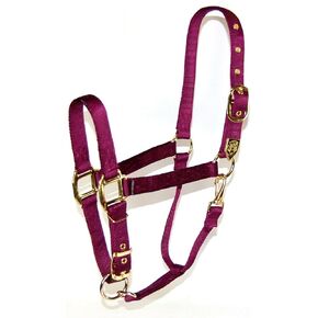 Hamilton 1-Inch Nylon Halter with Adjustable Chin, Wine - Average Size