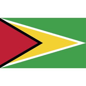 Guyana Flag Vinyl Decal Sticker Guyanese Car Window Bumper 2-Pack 5-Inches by 3-Inches Premium Quality UV-Resistant Laminate PDS441
