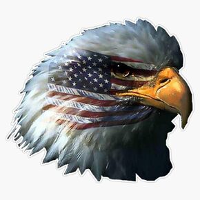 American Flag Bald Eagle Patriotic Vinyl Decal Wall Laptop Bumper Sticker 5inch