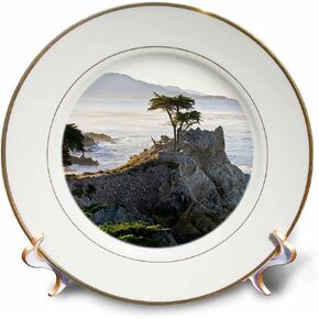 3dRose cp_88586_1 California. Carmel-by-The-Sea, Lone Cypress - US05 RBE0011 - Ralph H. Bendjebar - Porcelain Plate, 8-Inch