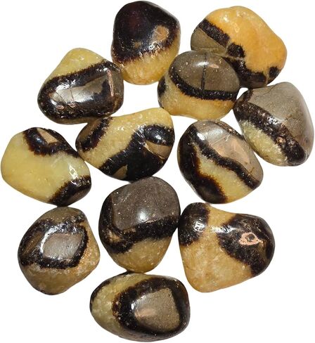 2 قطعة مجموعة Septarian Dragonstone متوسطة هبط ومصقول الطبيعية شفاء كريستال الأحجار الكريمة عينات من مدغشقر UV Reative in Kuwait