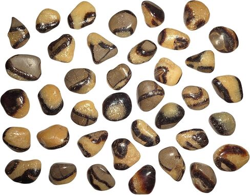 2 قطعة مجموعة Septarian Dragonstone متوسطة هبط ومصقول الطبيعية شفاء كريستال الأحجار الكريمة عينات من مدغشقر UV Reative in Kuwait