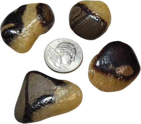 2 قطعة مجموعة Septarian Dragonstone متوسطة هبط ومصقول الطبيعية شفاء كريستال الأحجار الكريمة عينات من مدغشقر UV Reative in Kuwait