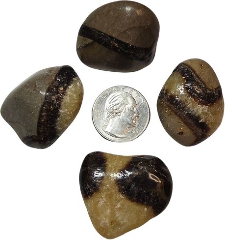 2 قطعة مجموعة Septarian Dragonstone متوسطة هبط ومصقول الطبيعية شفاء كريستال الأحجار الكريمة عينات من مدغشقر UV Reative in Kuwait
