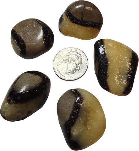 2 قطعة مجموعة Septarian Dragonstone متوسطة هبط ومصقول الطبيعية شفاء كريستال الأحجار الكريمة عينات من مدغشقر UV Reative in Kuwait