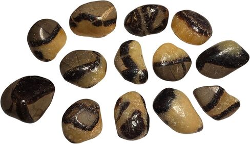 2 قطعة مجموعة Septarian Dragonstone متوسطة هبط ومصقول الطبيعية شفاء كريستال الأحجار الكريمة عينات من مدغشقر UV Reative in Kuwait