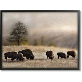 Stupell Industries Grazing Bison Rural Grassland Meadow Panoramic Scene Framed Wall Art, Design By Danita Delimont