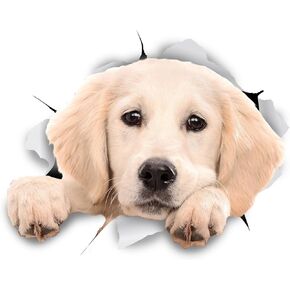 Winston & Bear 3D Dog Stickers - 2 Pack - Cute Black Labrador Retriever Stickers for Wall, Fridge, Toilet and More - Retail Packaged Black Labrador Decals