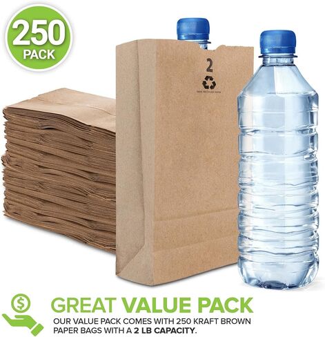 Stock Your Home 2 Lb Kraft Small Brown Paper Bags (250 Count) Mini Size Bag for Packing Breakfast Food, Snack, or Lunch Items - Blank Bulk Pack, Disposable Sack for Arts & Crafts Projects in Saudi Arabia