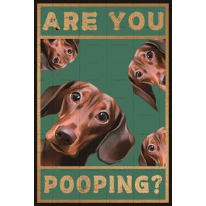 Generic Dachshund Are You Pooping Funny Iron Painting Poster for Bathroom Toilet Dachshund Art Wall Decor Poster 8x12 Inch