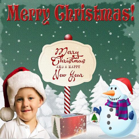 Clear Plastic Ornaments, Christmas Ornaments, Clear Plastic Balls, Clear Ornaments for Crafts - 24 PCS(3.15 inch) in Saudi Arabia
