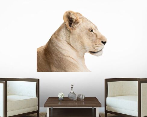 ملصق جداري من Waiting Lioness، رسم قابل للتقشير واللصق (30 بوصة عرض × 24 بوصة ارتفاع) WM153191 in Kuwait