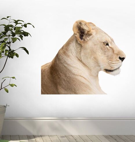 ملصق جداري من Waiting Lioness، رسم قابل للتقشير واللصق (30 بوصة عرض × 24 بوصة ارتفاع) WM153191 in Kuwait