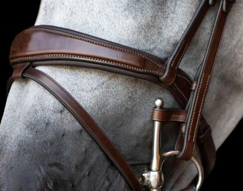 حلقات حفظ القطع الجلدية، حلقات فولمر، حصان حفظ القطع، قطع إنجليزية للخيول، حافظات الخد الكاملة، زوج- 3.54 × 0.47 بوصة in Kuwait