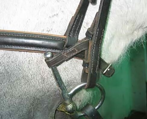 حلقات حفظ القطع الجلدية، حلقات فولمر، حصان حفظ القطع، قطع إنجليزية للخيول، حافظات الخد الكاملة، زوج- 3.54 × 0.47 بوصة in Kuwait