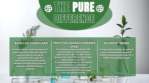 Pure Probiotic | 30 Billion CFUs of Bacillus Coagulans | FOS | Promotes Healthy Digestion | Supports Urinary and Immune Health | by Pure, INC. in Saudi Arabia