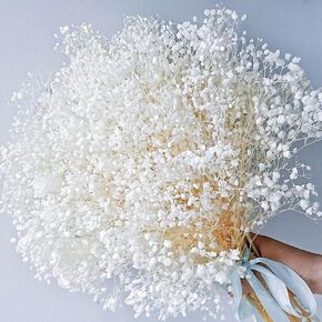 NatureMan17 Inch Dried Flowers Baby's Breath Bouquet ,100% Natrual Gypsophila Branches for Home Decoration,Photo Props Parties and Weddings, DIY Décor (Bleached)