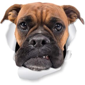 Winston & Bear Adorable Boxer Dog Wall Decals - 2 Pack - Boxer Dog 3D Sticker Decals for Walls, Cars, Toilet and More - Retail Packaged Boxer Dog Gifts