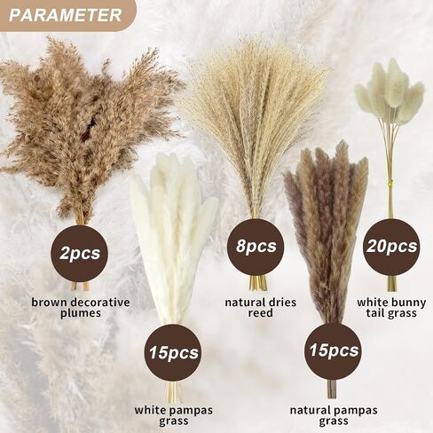 Natural Dried Pampas Grass Decor Boho Dried Flowers Bouquet Floral Bundle for Home Table Wedding Arrangements 60Pcs in Saudi Arabia
