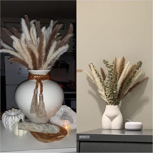 Natural Dried Pampas Grass Decor Boho Dried Flowers Bouquet Floral Bundle for Home Table Wedding Arrangements 60Pcs in Saudi Arabia