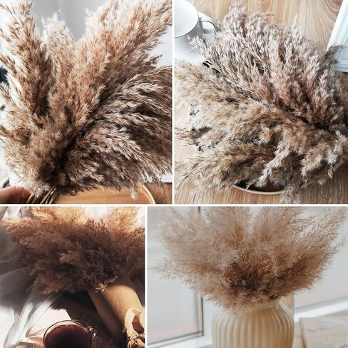 Natural Dried Pampas Grass Decor Boho Dried Flowers Bouquet Floral Bundle for Home Table Wedding Arrangements 60Pcs in Saudi Arabia