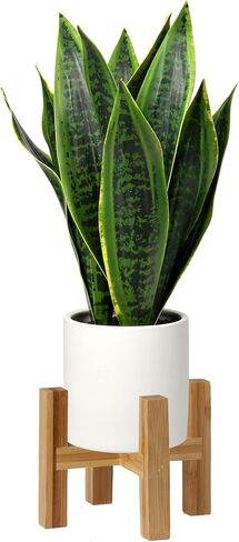 Briful Fake Snake Plant 16" Faux Potted Plant Artificial Snake Plant with White Ceramic Pot Sansevieria Plant Perfect for House Modern Living Room Office Housewarming Gift Indoor Decor in Saudi Arabia