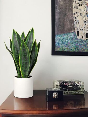 Briful Fake Snake Plant 16" Faux Potted Plant Artificial Snake Plant with White Ceramic Pot Sansevieria Plant Perfect for House Modern Living Room Office Housewarming Gift Indoor Decor in Saudi Arabia