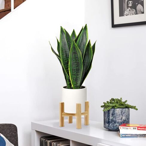 Briful Fake Snake Plant 16" Faux Potted Plant Artificial Snake Plant with White Ceramic Pot Sansevieria Plant Perfect for House Modern Living Room Office Housewarming Gift Indoor Decor in Saudi Arabia