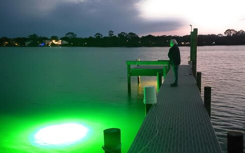 Green Blob Outdoors مصباح صيد جديد تحت الماء LED للأحواض 7500 أو 15000 لومن مع سلك طاقة 110 فولت تيار متردد 30 قدمًا أو 50 قدمًا، كرابي، سنوك، جاذب الأسماك، صنع في تكساس in Kuwait