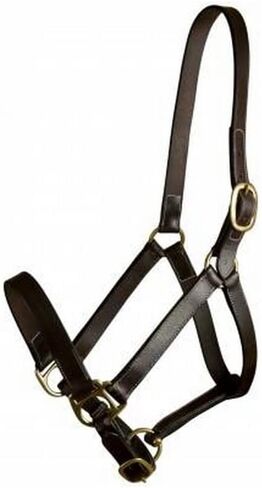 Gatsby Adj Turnout Leather Halter No Snap in Kuwait