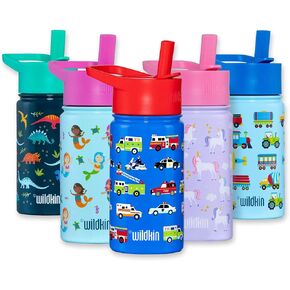 Wildkin Kids Reusable BPA-Free Stainless Steel Water Bottle with Leak Proof Lid for Boys & Girls, Insulated, Durable, and Easy to Clean Water Bottles for Toddlers (Strawberry Patch)
