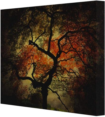 Japanese I by Philippe Sainte-Laudy, 30x47-Inch Canvas Wall Art in Saudi Arabia