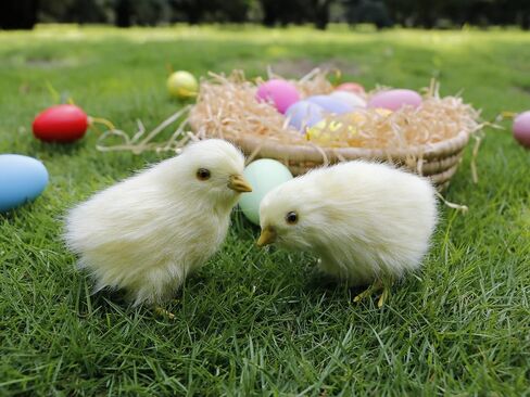 2pcs Realistic Little Chirping Baby Chicks Toys Plush Chicken Easter Decorations,Easter Gifts,Easter Photo Props (CK-Flying+Upright) in Saudi Arabia