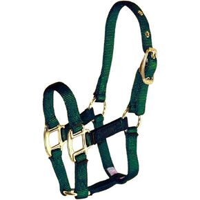 Hamilton Pony 3/4-Inch Nylon Horse Halter, Lime Green