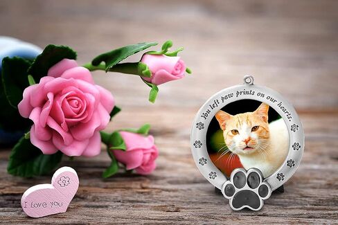 FASHIONCRAFT Pet Memorial Ornament Departed Paw Prints You Left Paw Prints On Our Hearts Round Metal Photo Frame Velvet Easel Back & Gift Box Table Top Remembrance Pewter Finish Dog, Cat in Saudi Arabia