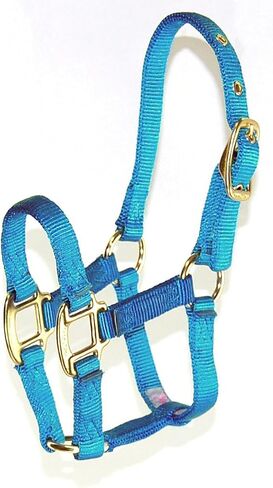 Hamilton Pony 3/4-Inch Nylon Horse Halter, Lime Green in Kuwait