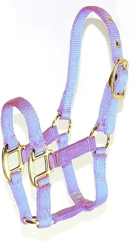 Hamilton Pony 3/4-Inch Nylon Horse Halter, Lime Green in Kuwait
