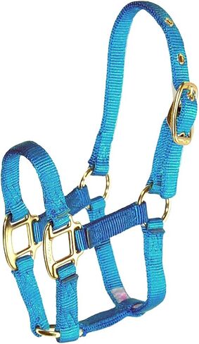 Hamilton Pony 3/4-Inch Nylon Horse Halter, Lime Green in Kuwait