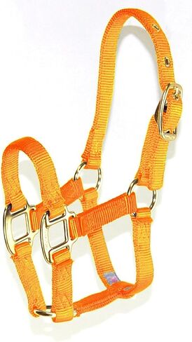 Hamilton Pony 3/4-Inch Nylon Horse Halter, Lime Green in Kuwait