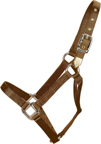 Hamilton Pony 3/4-Inch Nylon Horse Halter, Lime Green in Kuwait