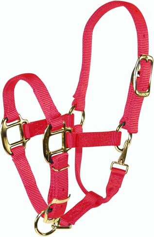 Hamilton Pony 3/4-Inch Nylon Horse Halter, Lime Green in Kuwait