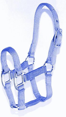 Hamilton Pony 3/4-Inch Nylon Horse Halter, Lime Green in Kuwait