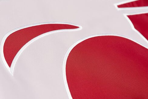 Desert Cactus Washington State University Flag Banners WSU Cougars Cougs 100% Nylon Indoor Outdoor 3x5 feet Flags (Embroidered 2) in Saudi Arabia