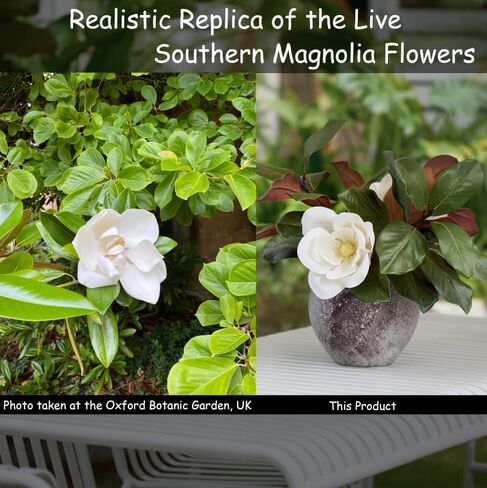 3 Stems Real Touch White Southern Magnolia Flowers, Artificial Realistic Magnolia Grandiflora for Home Décor in Saudi Arabia