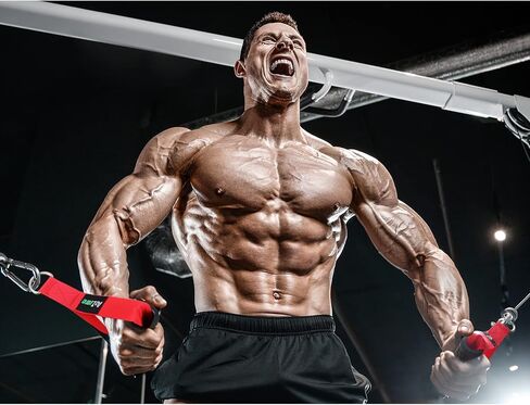 مقابض التمارين الثقيلة A2ZCARE - ملحق مقابض اليد الممتازة لنظام السحب LAT للبكرة (ب. مقابض التمرين (أحمر) وخطافين كبس) in Kuwait