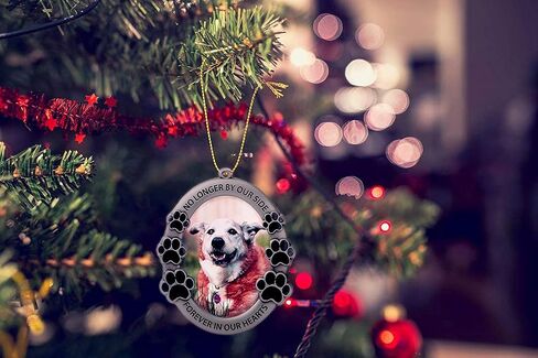 FASHIONCRAFT Pet Memorial Ornament Departed Paw Prints No Longer by Our Side Forever in Our Hearts Oval Metal Photo Frame Velvet Easel Back & Gift Box Table Top Remembrance Pewter Finish in Saudi Arabia